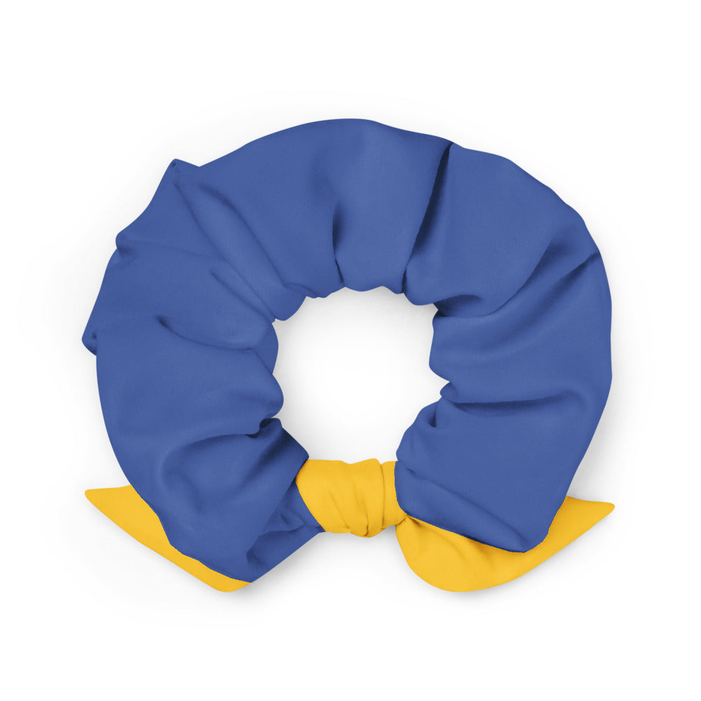 Blue & Yellow Scrunchie